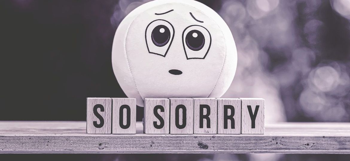 sorry emoji